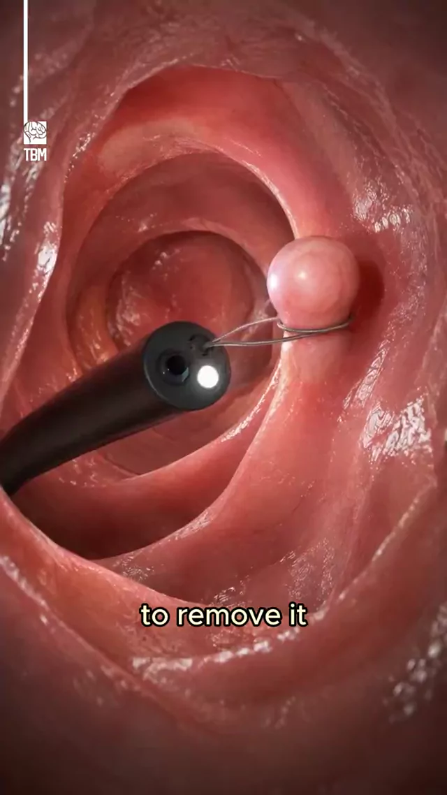 @thebrainmaze ギャル 露出 高画質 Twitterエロ動画 @thebrainmaze の投稿動画 シーン8