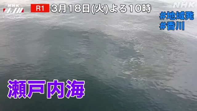 パイパン コスプレ 激シコ X動画 パイパン コスプレ 激シコ X動画 シーン3