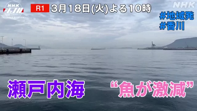 パイパン コスプレ 激シコ X動画 パイパン コスプレ 激シコ X動画 シーン5