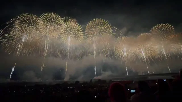 @everydayusako 美人OL フェラ 完全素人 Twitterエロ動画 @everydayusako の投稿動画 シーン2