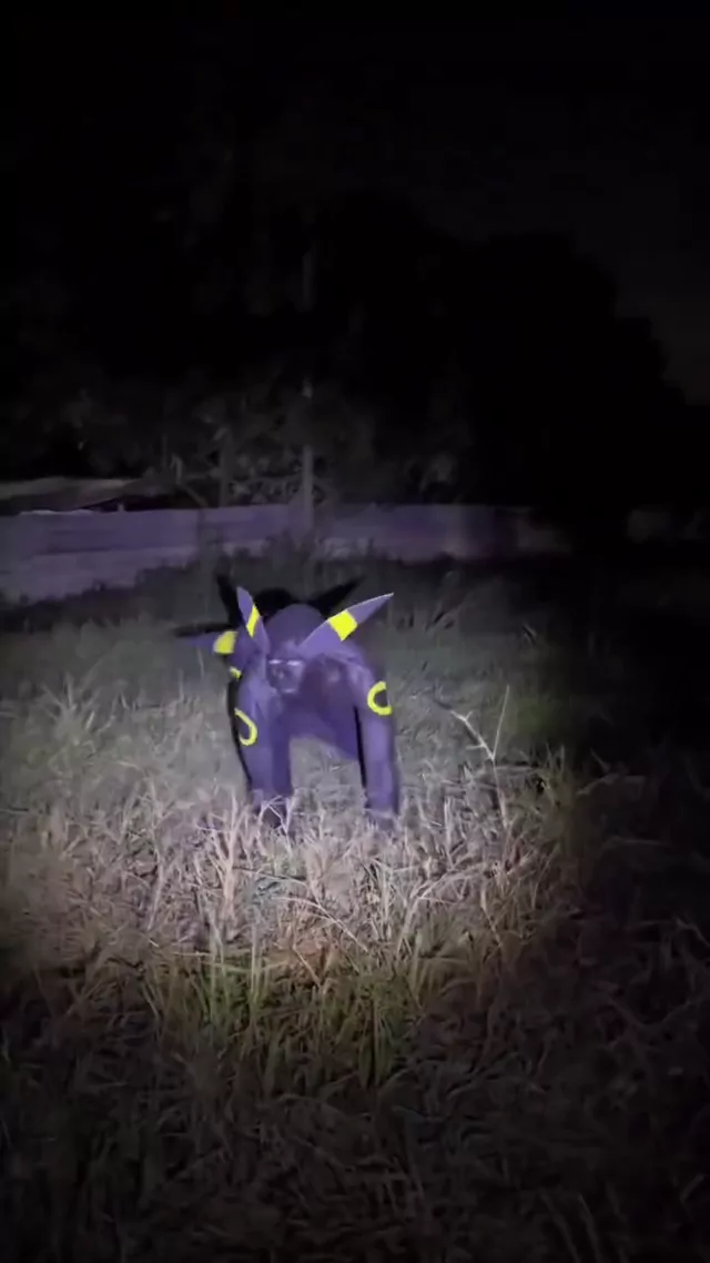 @pokemon_daily 美少女 コスプレ 最新 投稿エロ動画 @pokemon_daily の投稿動画 シーン8