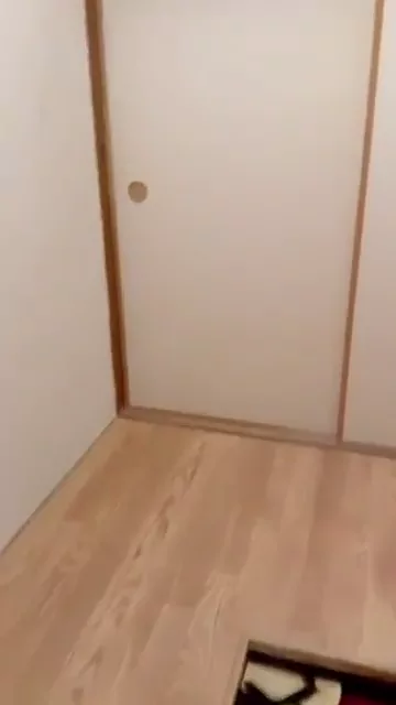 @youkoyouyouko1 パイパン オナニー 厳選 Twitterエロ動画 @youkoyouyouko1 の投稿動画 シーン2