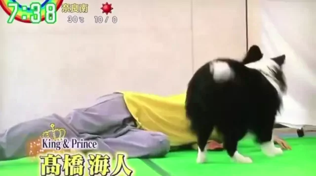 @ovo_2qp 女子大生 露出 話題 SNS流出動画 @ovo_2qp の投稿動画 シーン10